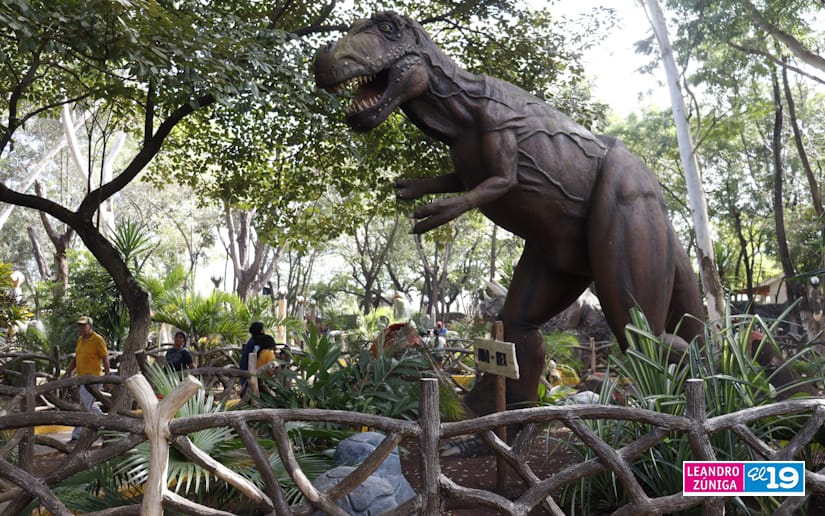 PARQUE